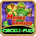 australian cricket Casino Max v5.1.4