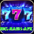 bbl big bash apk Games (Casino & Earning) Pro v5.6.4