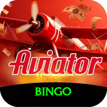 bingo Premium Edition v4.8.4 - 2