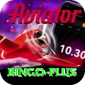 bingo VIP v3.5.7