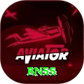 bn55 Plus v2.4.3