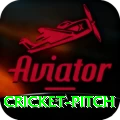 cricket pitch Deluxe v5.9.8