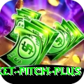 cricket pitch Pro - Win Real PKR
