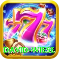 david wiese Premium Plus v3.9.3