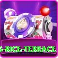 dhampus rice terrace Pro Max v4.8.8