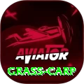 grass carp VIP v4.3.0