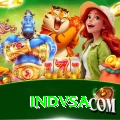 indvsa Pro v3.3.1