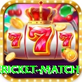 international cricket match Pro Edition v3.8.3