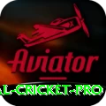 international cricket Deluxe Gaming App