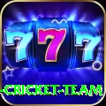 ireland cricket team Apps (Tools & Injectors) Ultimate v3.5.1