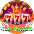 most test wickets Master Pro v1.8.8