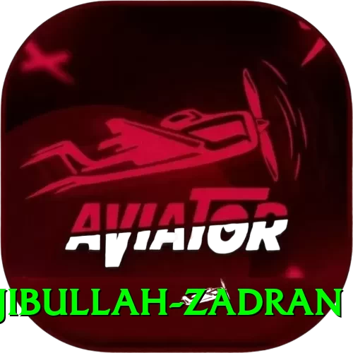 najibullah zadran Apps (Tools & Injectors) Max v1.6.1 - 2