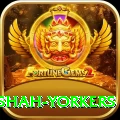 naseem shah yorkers Apps (Tools & Injectors) Deluxe v1.4.8