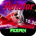 pkspin Max v2.0.7