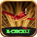 r cricket Max v4.6.3