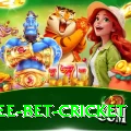 risk free bet cricket Pro Max v2.4.2
