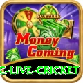 smartcric live cricket Pro Max v2.6.8