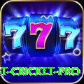 test cricket - Slots Elite