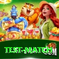 test match Premium v5.1.4