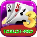 tgslot Premium Plus v1.2.8