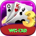 wc t20 Apps (Tools & Injectors) Pro v2.6.5