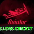 willow cricket Deluxe Pro v5.4.4