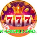 willow cricket Max - Win Real PKR