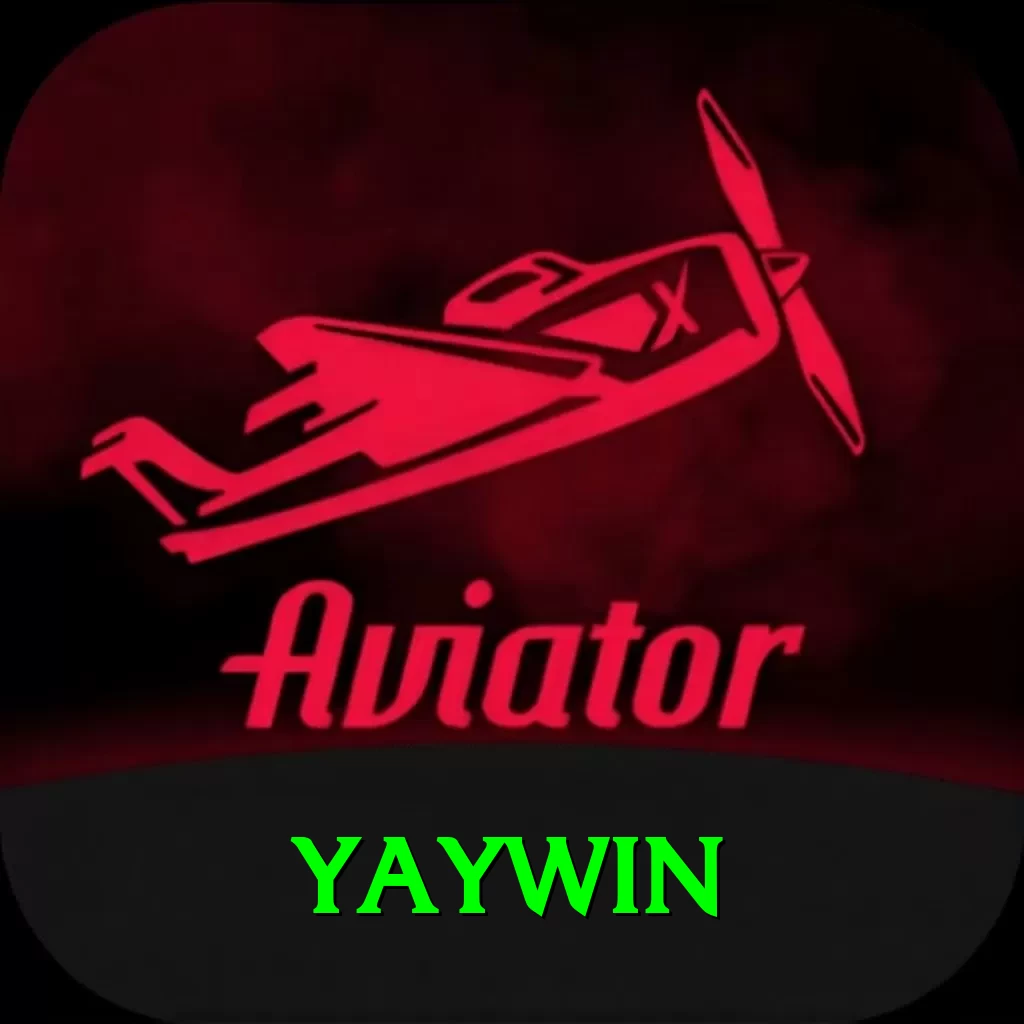 yaywin Plus Edition v3.9.8 - 2